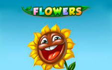 Игровой автомат Flowers